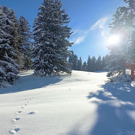 Ferien In Der Region Lenzerheide Διαμέρισμα Εξωτερικό φωτογραφία
