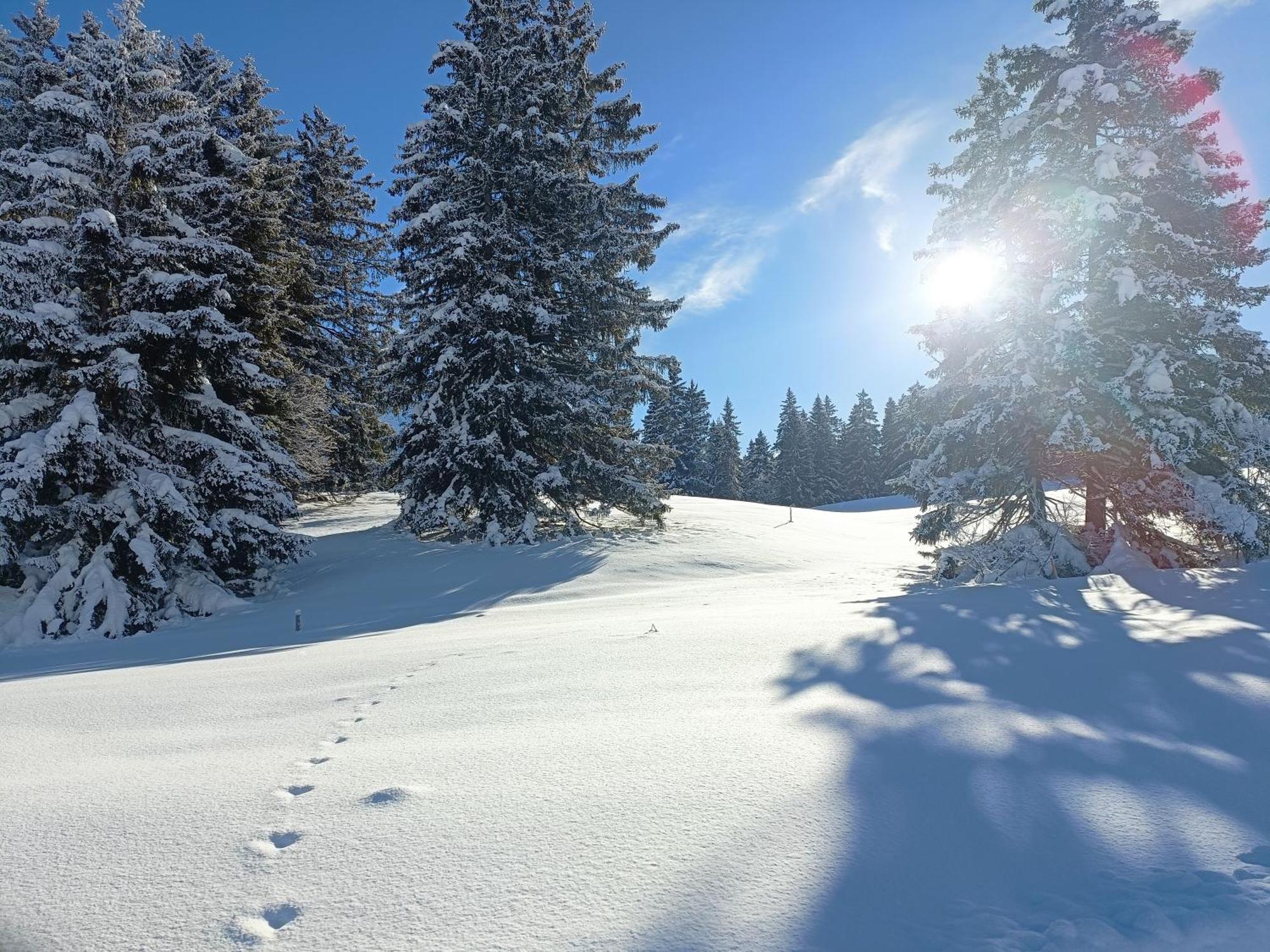 Ferien In Der Region Lenzerheide Διαμέρισμα Εξωτερικό φωτογραφία